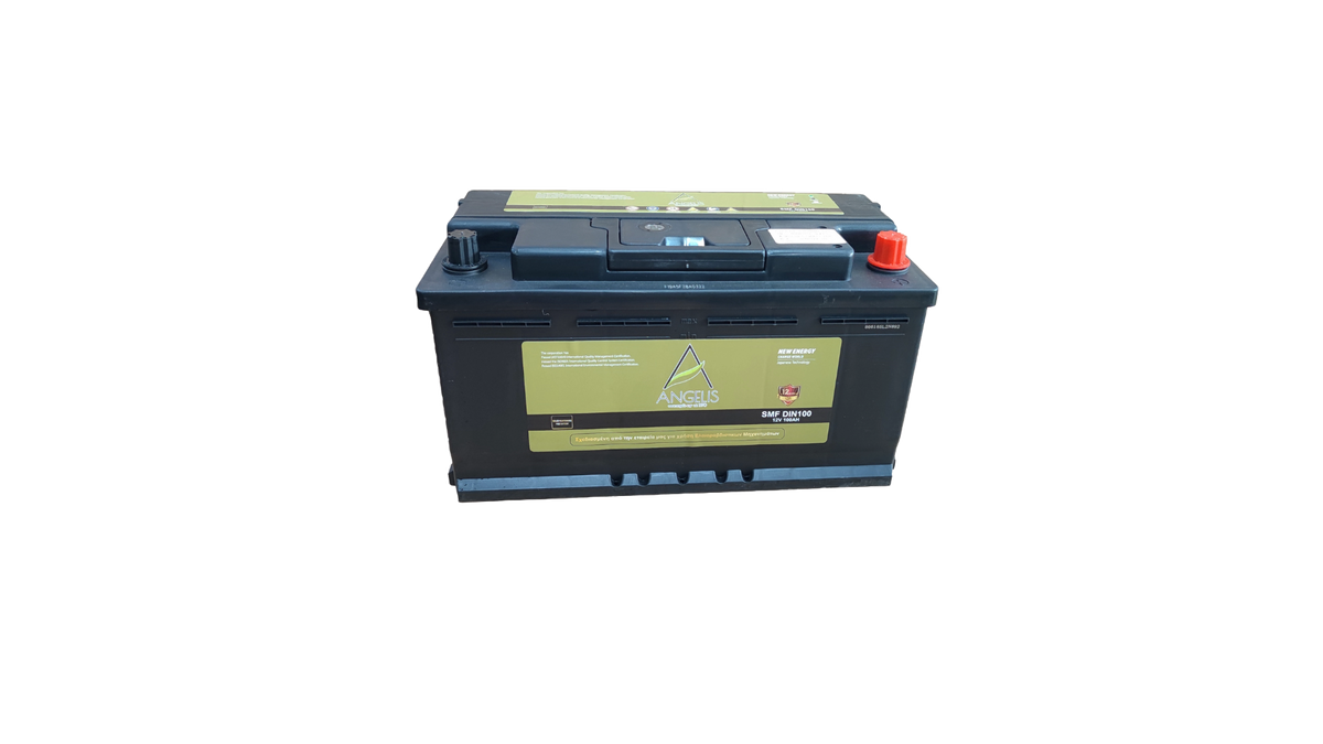 Μπαταρία Ελαιοραβδιστικού Angelis 100Ah