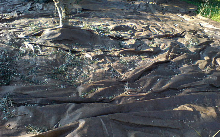 Ελαιόπανο 6x13m