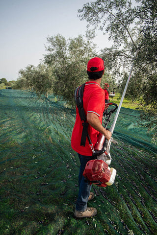 Επαγγελματικός δονητής ελιάς Cifarelli SC904R